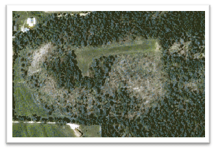 Missouri-River-Hills-COA-Timberstand-Improvement-Aerial-Picture