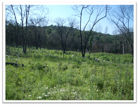 Missouri-River-Hills-COA-Burn-Area-After-Picture