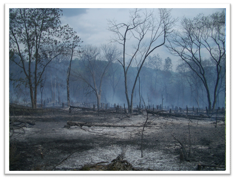 Missouri-River-Hills-COA-Burn-In-Progress-Picture