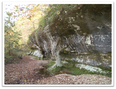 Missouri-River-Hills-COA-Clark-Branch-Picture